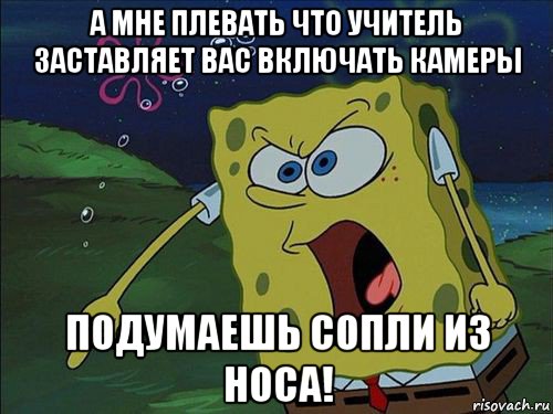 а мне плевать что учитель заставляет вас включать камеры подумаешь сопли из носа!