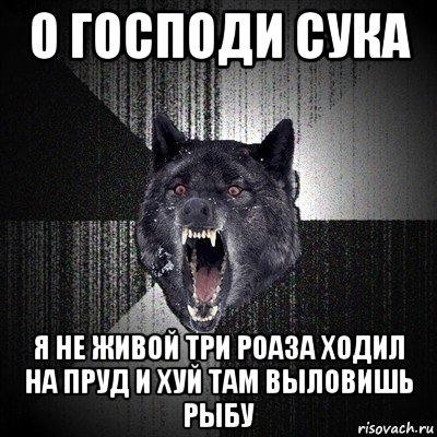 о господи сука я не живой три роаза ходил на пруд и хуй там выловишь рыбу, Мем Сумасшедший волк