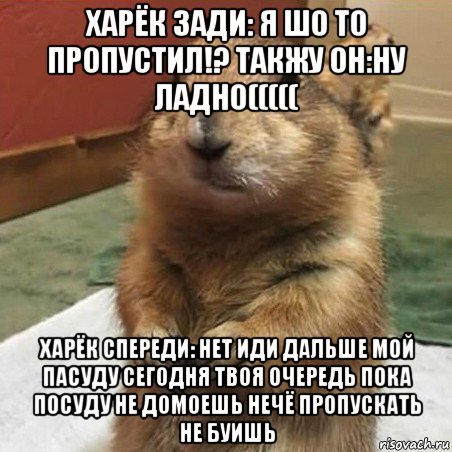 харёк зади: я шо то пропустил!? такжу он:ну ладно((((( харёк спереди: нет иди дальше мой пасуду сегодня твоя очередь пока посуду не домоешь нечё пропускать не буишь, Мем Суслик спрашивает