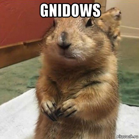 gnidows 