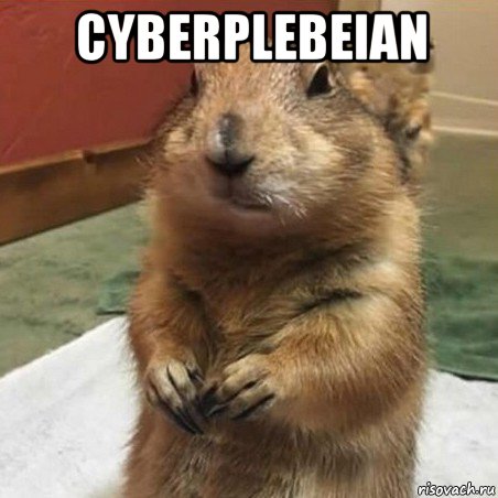 cyberplebeian , Мем Суслик спрашивает