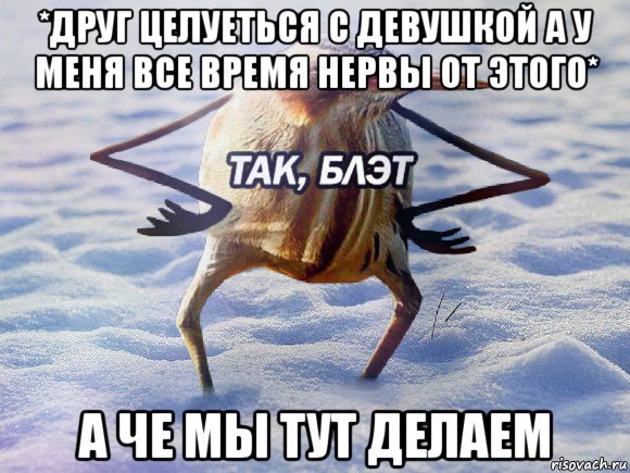 *друг целуеться с девушкой а у меня все время нервы от этого* а че мы тут делаем, Мем  Так блэт птица с руками