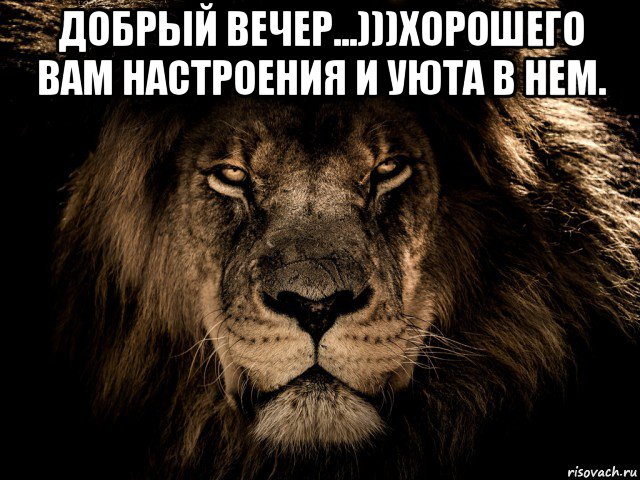 добрый вечер...)))хорошего вам настроения и уюта в нем. , Мем Тома