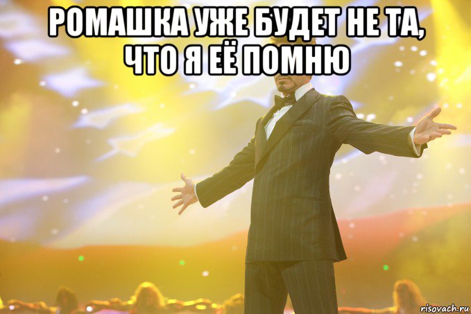 ромашка уже будет не та, что я её помню , Мем Тони Старк (Роберт Дауни младший)