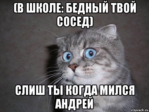 (в школе: бедный твой сосед) слиш ты когда мился андрей, Мем  удивлённый кот