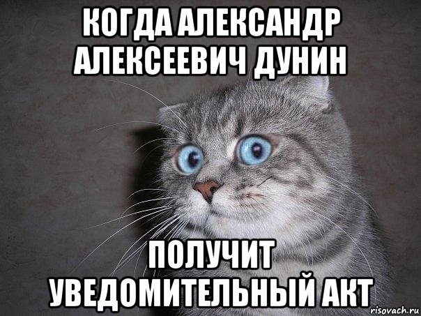 когда александр алексеевич дунин получит уведомительный акт, Мем  удивлённый кот