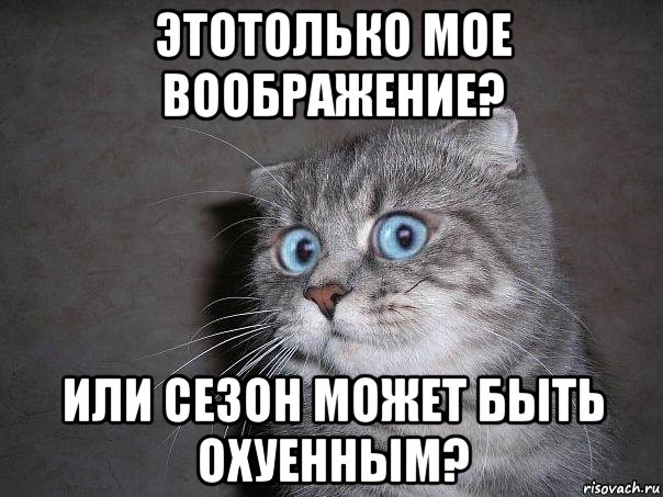 этотолько мое воображение? или сезон может быть охуенным?, Мем  удивлённый кот