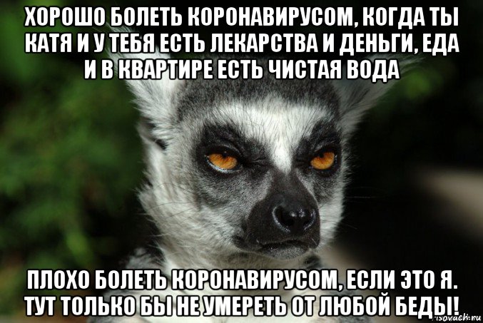 хорошо болеть коронавирусом, когда ты катя и у тебя есть лекарства и деньги, еда и в квартире есть чистая вода плохо болеть коронавирусом, если это я. тут только бы не умереть от любой беды!, Мем   Я збагоен