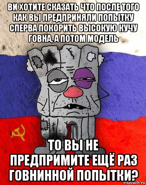 ви хотите сказать что после того как вы предприняли попытку сперва покорить высокую кучу говна, а потом модель то вы не предпримите ещё раз говнинной попытки?, Мем Ватник