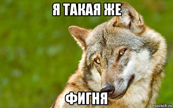 я такая же фигня, Мем   Volf