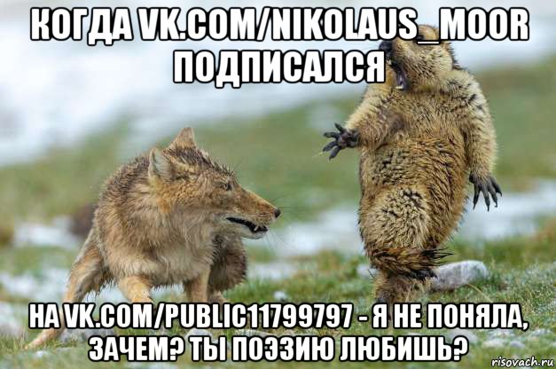 когда vk.com/nikolaus_moor подписался на vk.com/public11799797 - я не поняла, зачем? ты поэзию любишь?