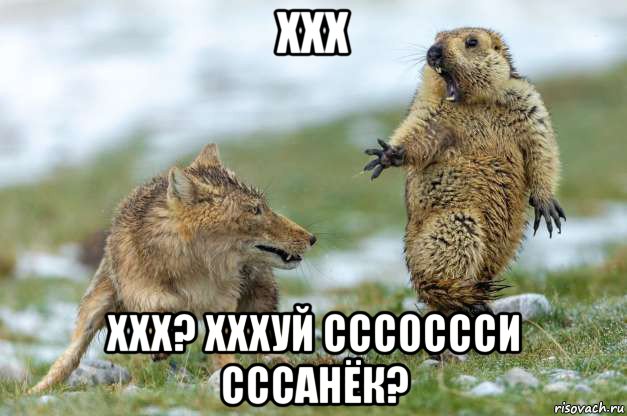 ххх xxx? xxxуй сссоссси сссанёк?, Мем Волк и суслик