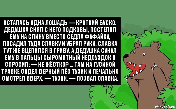 Осталась одна лошадь — кроткий Буско. Дедушка снял с него подковы, постелил ему на спину вместо седла фуфайку, посадил туда Славку и убрал руки. Славка тут же вцепился в гриву, а дедушка сунул ему в пальцы сыромятный недоуздок и спросил: — Не жёстко? ... Там на гусиной травке сидел верный пёс Тузик и печально смотрел вверх. — Тузик, — позвал Славка., Комикс Надпись медведя из кустов