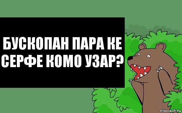 Бускопан Пара ке серфе комо узар?, Комикс Надпись медведя из кустов