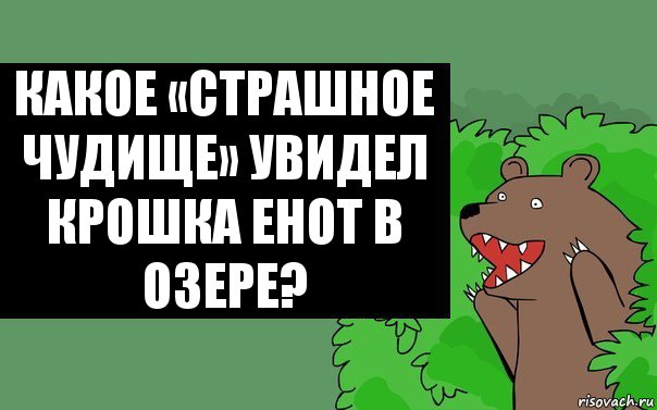 Какое «страшное чудище» увидел крошка Енот в озере?, Комикс Надпись медведя из кустов