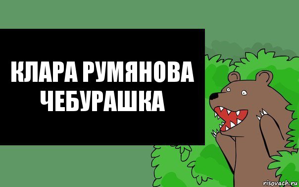 Клара Румянова Чебурашка, Комикс Надпись медведя из кустов