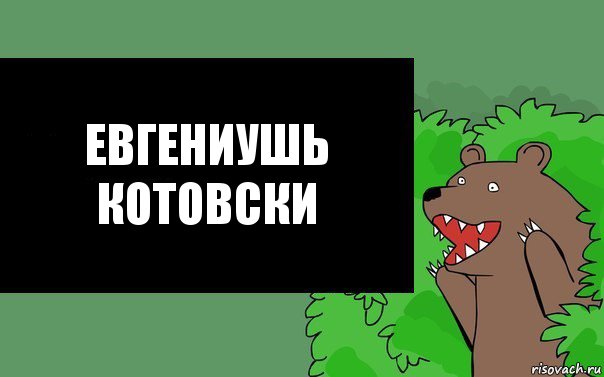 Евгениушь Котовски, Комикс Надпись медведя из кустов