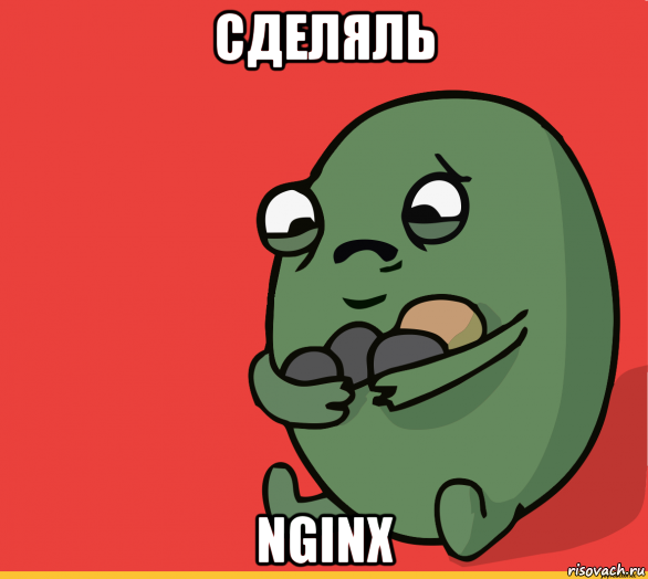 сделяль nginx, Мем  Я сделяль