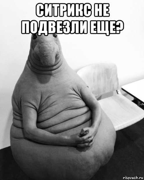 ситрикс не подвезли еще? 