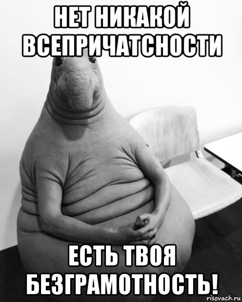 нет никакой всепричатсности есть твоя безграмотность!, Мем  Ждун