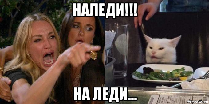 наледи!!! на леди..., Мем Женщина орёт на кота