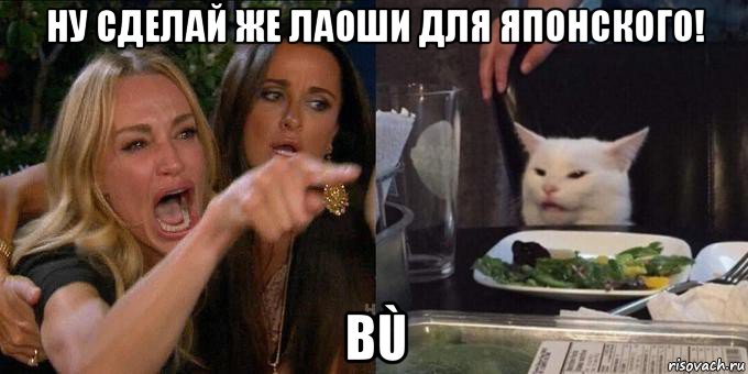 ну сделай же лаоши для японского! bù, Мем Женщина орёт на кота