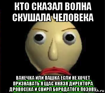 кто сказал волна скушала человека ванечка или пашка если не хочет признавать я щас князя директора дровосека и свирл бородатого позову, Мем Злой Балди