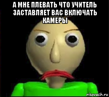 а мне плевать что учитель заставляет вас включать камеры , Мем Злой Балди