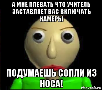 а мне плевать что учитель заставляет вас включать камеры подумаешь сопли из носа!