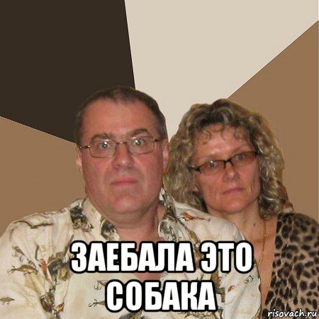  заебала это собака, Мем  Злые родители