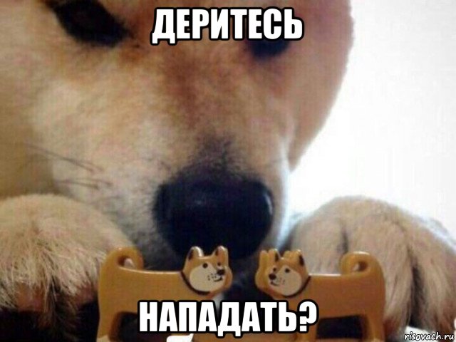 деритесь нападать?