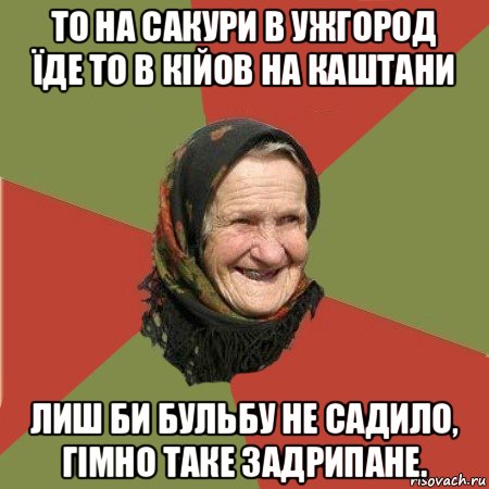 то на сакури в ужгород їде то в кійов на каштани лиш би бульбу не садило, гімно таке задрипане., Мем  Бабушка