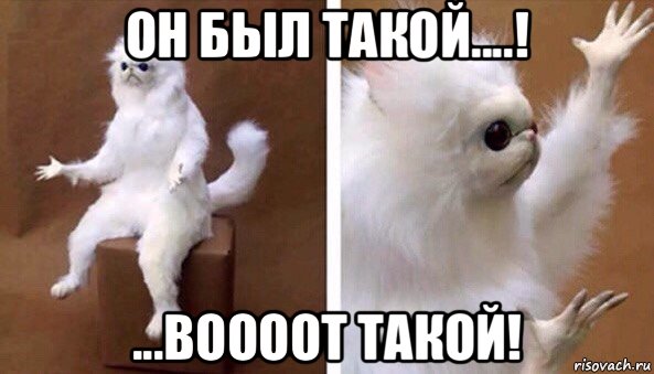 он был такой....! ...воооот такой!