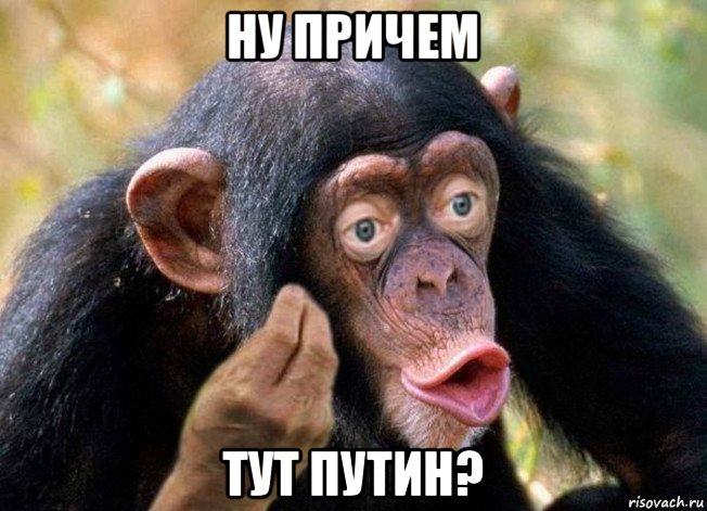 ну причем тут путин?