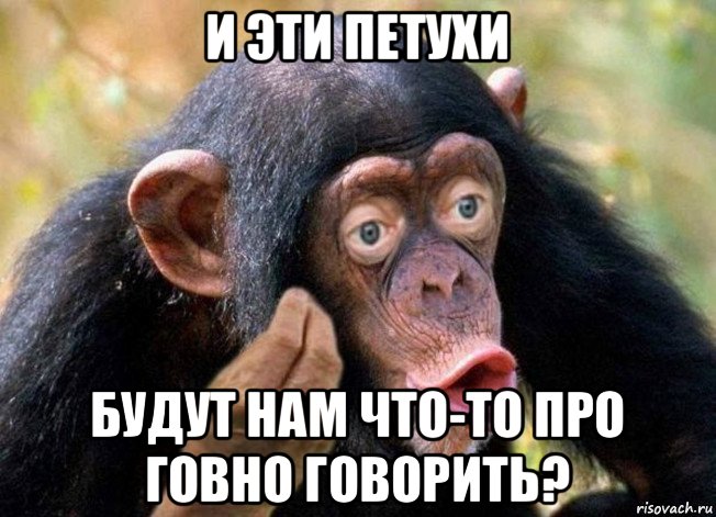 и эти петухи будут нам что-то про говно говорить?, Мем Да как же мне тебе объяснить - Гоминид объясняет