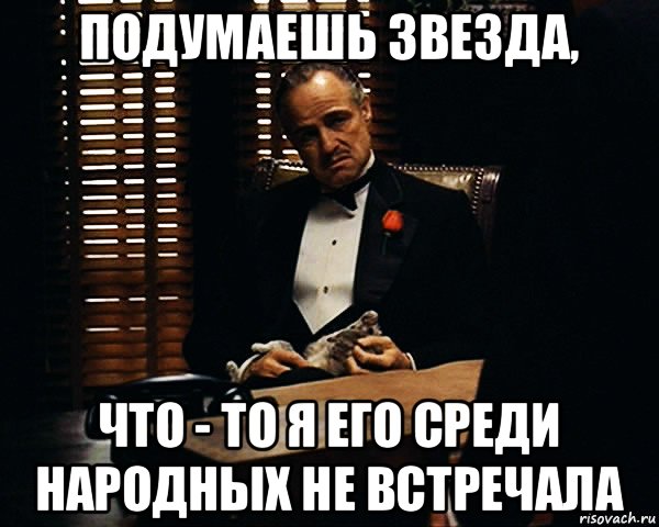 подумаешь звезда, что - то я его среди народных не встречала, Мем Дон Вито Корлеоне