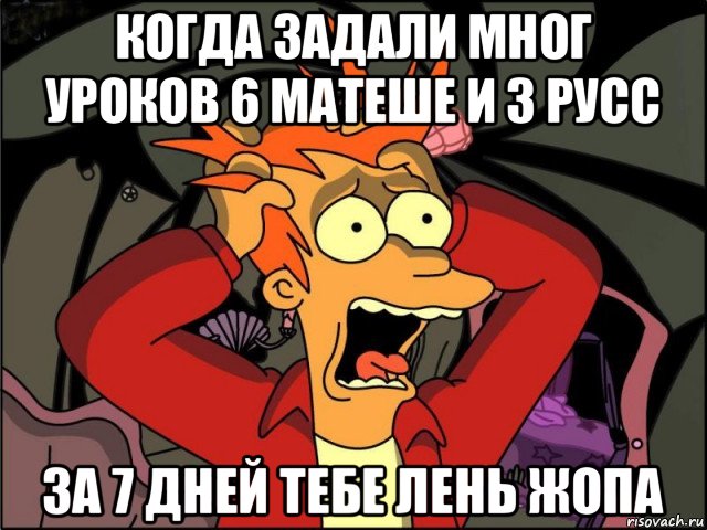 когда задали мног уроков 6 матеше и 3 русс за 7 дней тебе лень жопа