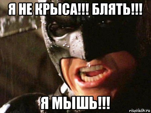 я не крыса!!! блять!!! я мышь!!!, Мем Где детонатор