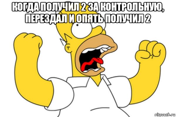 когда получил 2 за контрольную, перездал и опять получил 2 , Мем Разъяренный Гомер