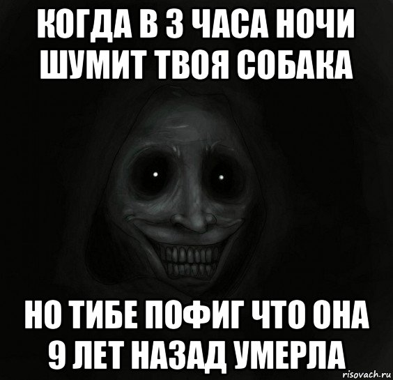 когда в 3 часа ночи шумит твоя собака но тибе пофиг что она 9 лет назад умерла, Мем Ночной гость