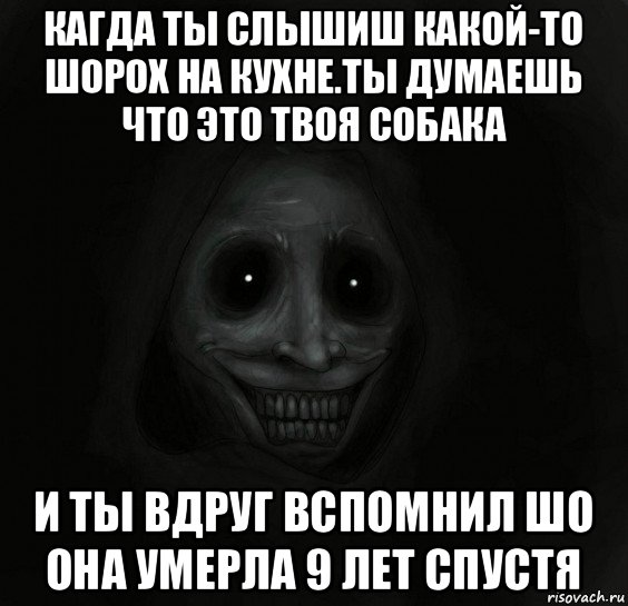 кагда ты слышиш какой-то шорох на кухне.ты думаешь что это твоя собака и ты вдруг вспомнил шо она умерла 9 лет спустя, Мем Ночной гость