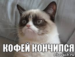     кофей кончился, Комикс grumpy cat