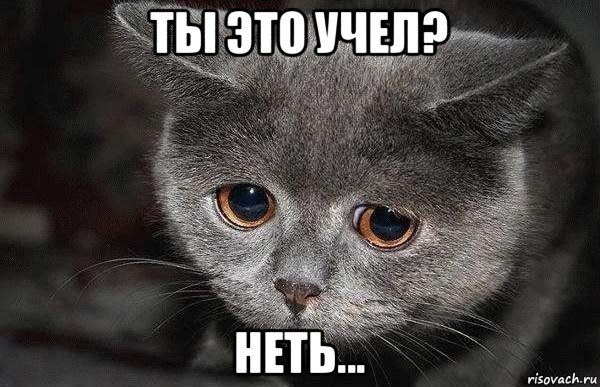 ты это учел? неть...