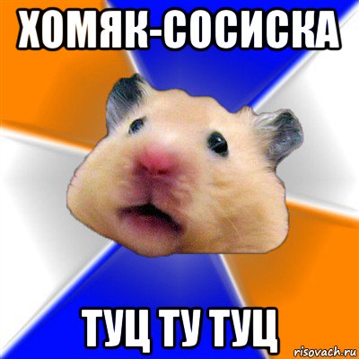 хомяк-сосиска туц ту туц, Мем Хомяк