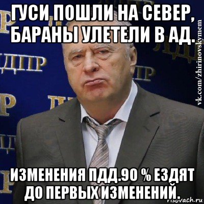 гуси пошли на север, бараны улетели в ад. изменения пдд.90 % ездят до первых изменений., Мем Хватит это терпеть (Жириновский)