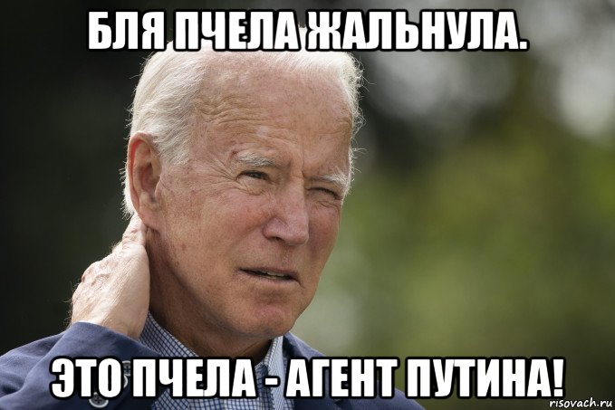 бля пчела жальнула. это пчела - агент путина!, Мем Joe Biden