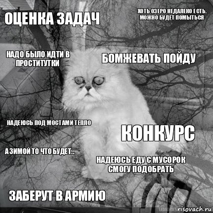 оценка задач конкурс бомжевать пойду заберут в армию надеюсь под мостами тепло хоть озеро недалеко есть, можно будет помыться надеюсь еду с мусорок смогу подобрать надо было идти в проститутки а зимой то что будет... , Комикс  кот безысходность