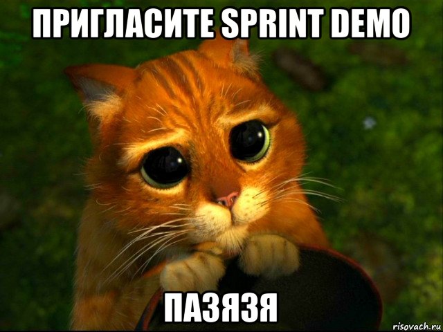 пригласите sprint demo пазязя, Мем кот из шрека