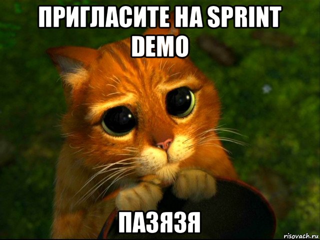 пригласите на sprint demo пазязя, Мем кот из шрека