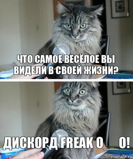 Что самое весёлое вы видели в своей жизни? Дискорд Freak o__o!, Комикс  кот с микрофоном